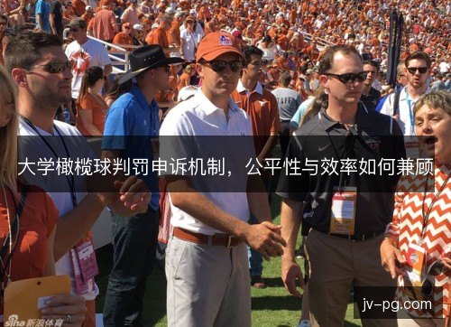 大学橄榄球判罚申诉机制，公平性与效率如何兼顾